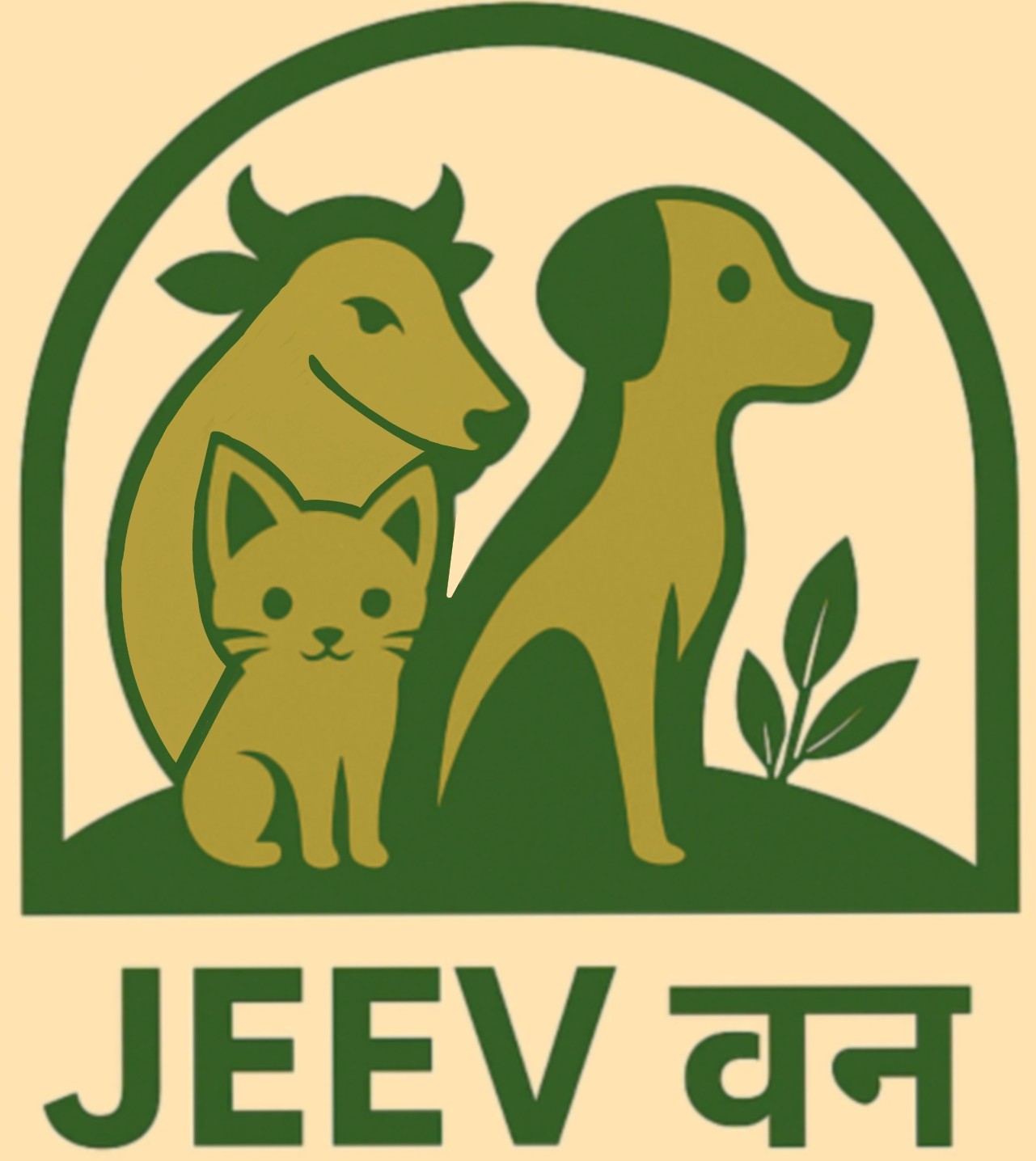 Website Logo
